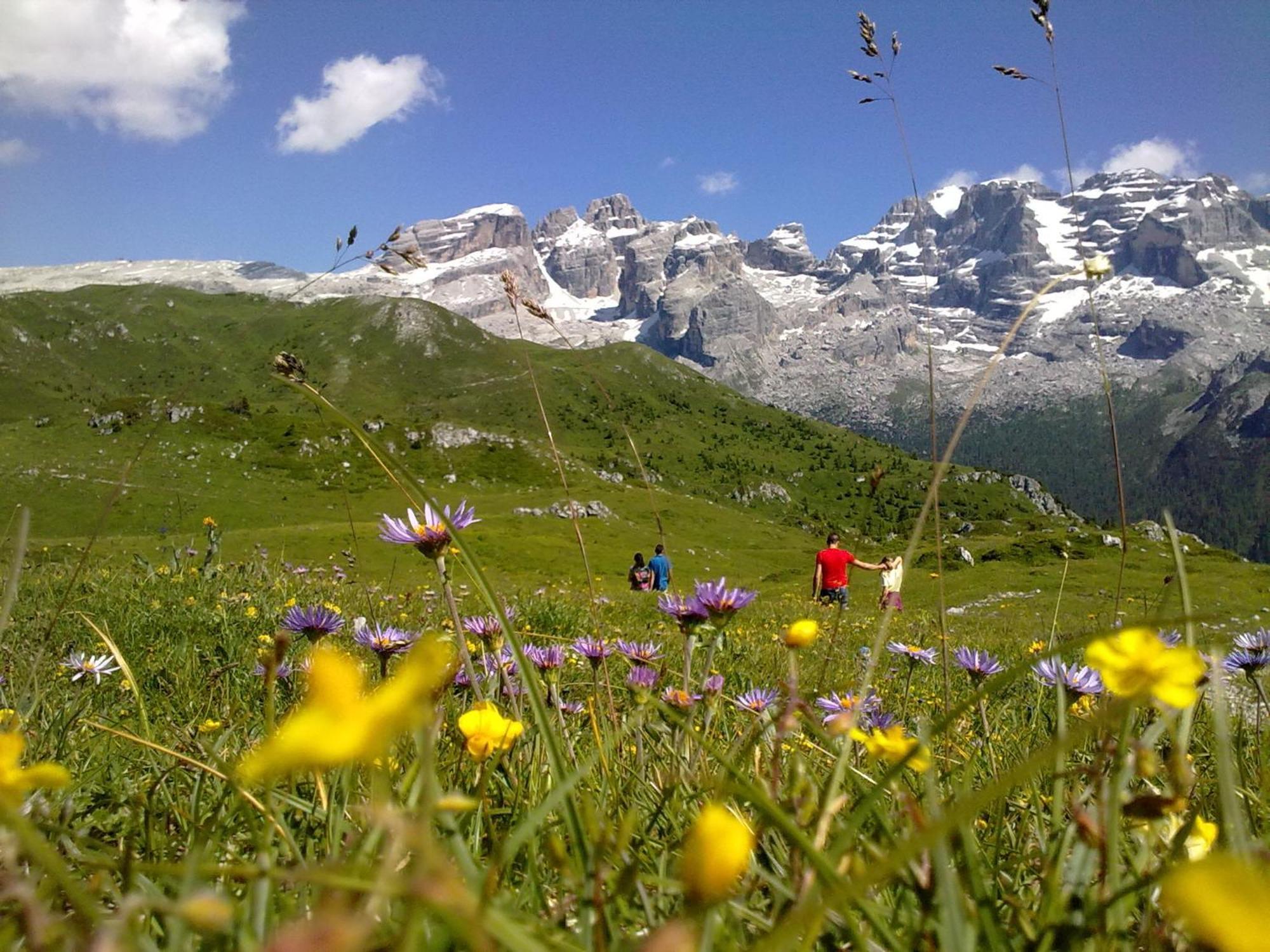 Hotel Alpina Pinzolo Kültér fotó